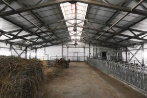 interior of a metal barn with horses inside